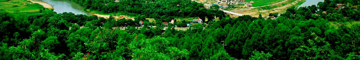 đặc sản và quà tặng