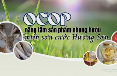 Nâng tầm sản Phẩm Nhung Hươu Hương Sơn